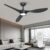 Ceiling Fans with Lights and Remote, 52 Inch Large Airflow Indoor Ceiling Fans with Quiet DC Motor and 3 Colour Temperature Black Noiseless…