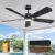 DAMINY 52 inch Ceiling Fan with Light,6CCT,5 Blade Ceiling Fan with Light,Low Profile Ceiling Fan with Light and Remote Control,Downrods,Black…