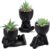 Der Rose 3pcs Fake Succulents Plants Artificial for Black Bathroom Bedroom Home Room Decor Aesthetic Indoor