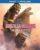 Godzilla x Kong: The New Empire (Blu-ray + Digital)